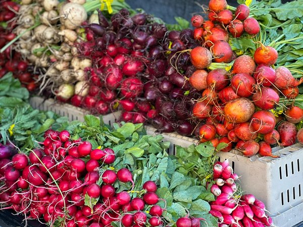 Revamp Your Kitchen: Designing Culinary Havens for Varied Dietary Preferences